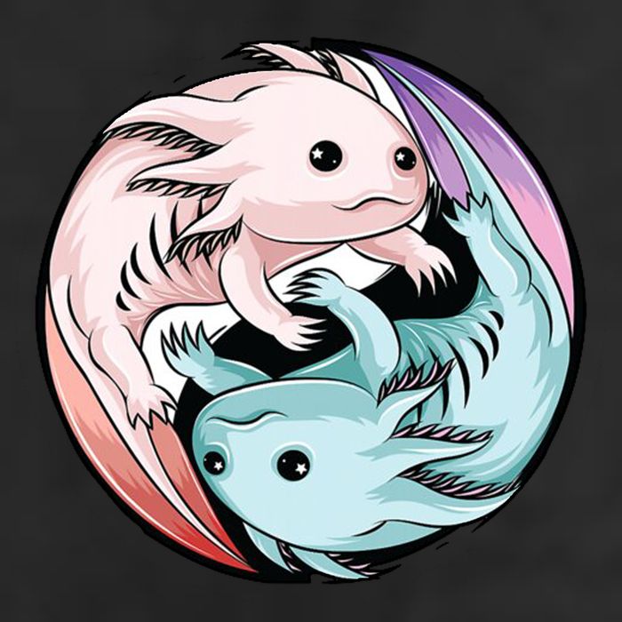 Ying Yang Axolotls Hat