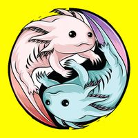 Ying Yang Axolotls Button