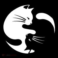 Ying Yang Cat 16 in Basic Backpack