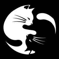 Ying Yang Cat Wool Snapback Cap