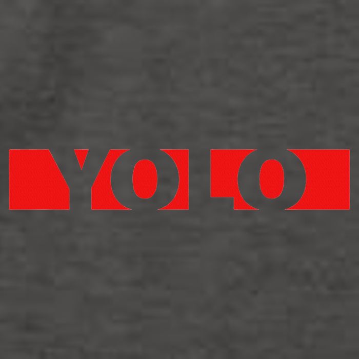 Yolo Vector Backpack