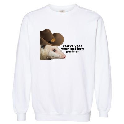 YouVe Yeed Your Last Haw Partner Possum Meme Garment-Dyed Sweatshirt