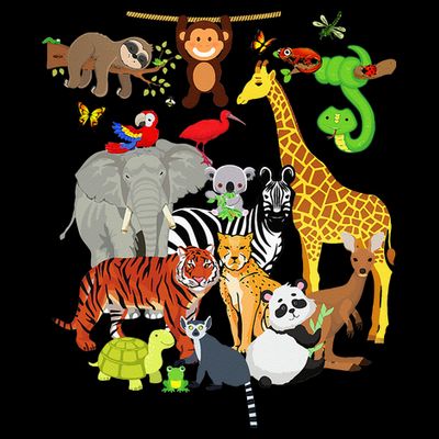 Zoo Animals Wildlife Birthday Party Zoo Day 26 Animals T-Shirt