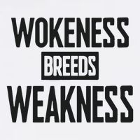 Zeek Arkham Wokeness Breeds Weakness Youth Performance Sprint T-Shirt