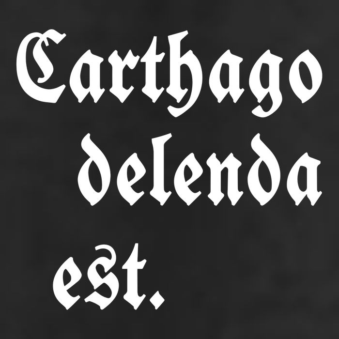 Zuck Bucks Wearing Carthago Delenda Est 11oz C Handle Ceramic Mug