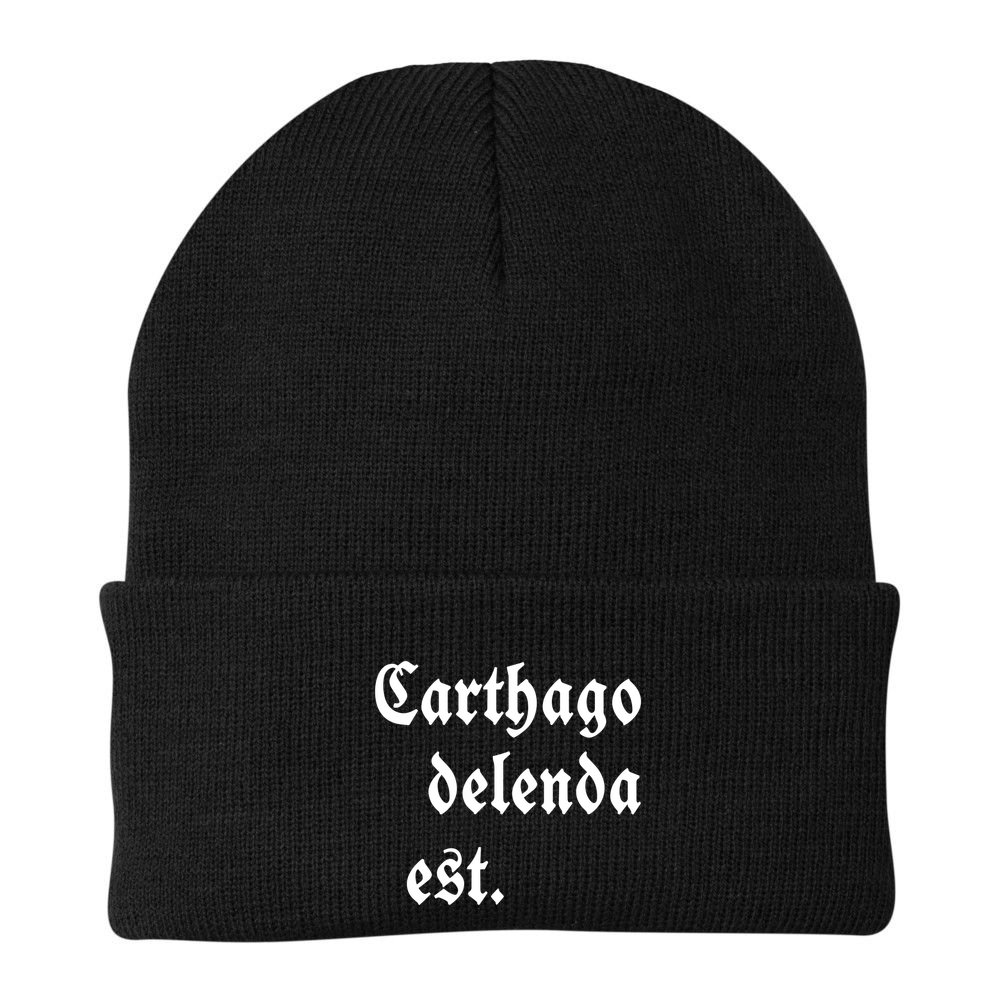 Zuck Bucks Wearing Carthago Delenda Est Beanie