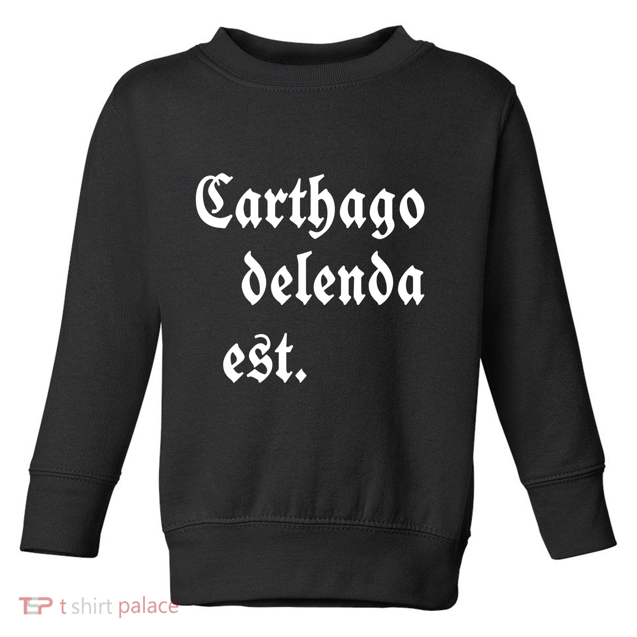 Zuck Bucks Wearing Carthago Delenda Est Toddler Sweatshirt