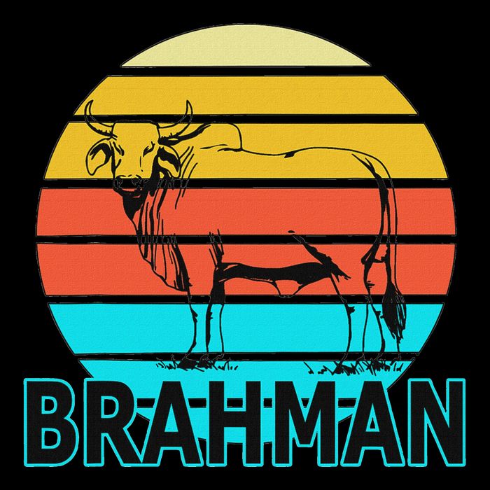 Zebu Cattle Brahma Bull Hump Dewlap Cow Indian Aurochs Stripe Pom Pom Beanie