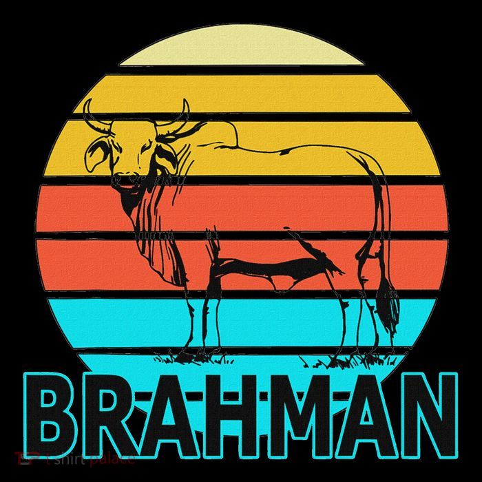 Zebu Cattle Brahma Bull Hump Dewlap Cow Indian Aurochs Button