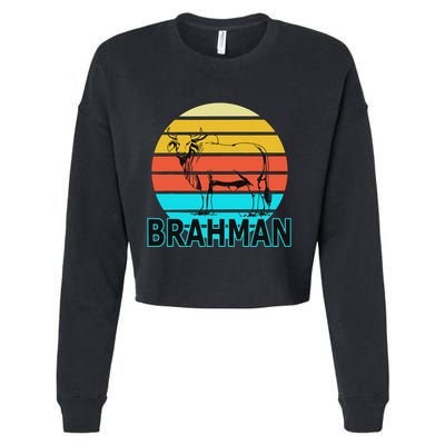 Zebu Cattle Brahma Bull Hump Dewlap Cow Indian Aurochs Cropped Pullover Crew
