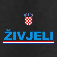 Zivjeli! Cheers In Croatian Adult Drive Performance Visor