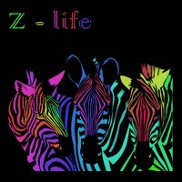 Zebra Life Z Three Zebras Tall T-Shirt