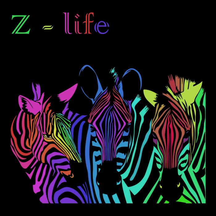 Zebra Life Z Three Zebras Tall T-Shirt