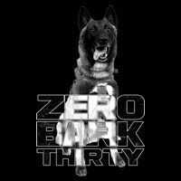 Zero Bark Thirty Conan the Hero Dog Visor