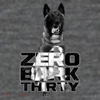Zero Bark Thirty Conan the Hero Dog Flatbill Hat