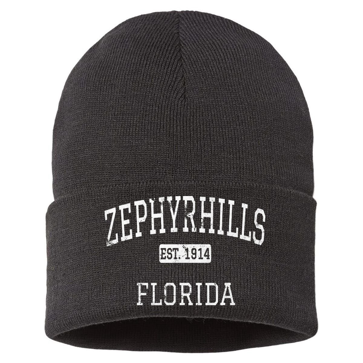 Zephyrhills Florida FL Vintage Sustainable Knit Beanie
