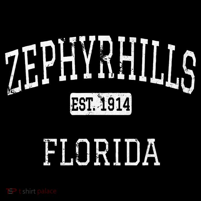 Zephyrhills Florida FL Vintage Kids T-Shirt