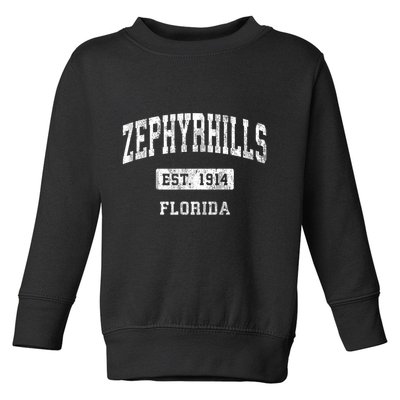 Zephyrhills Florida Fl Vintage Sports Established Toddler Sweatshirt