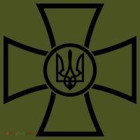 Zelensky Green Cross Ukraine I Dont Need A Ride I Need Ammunition Front&Back Short Acrylic Beanie