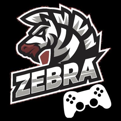 Zebra Gamer Controller Graphic Design For Gamer Kids T-Shirt