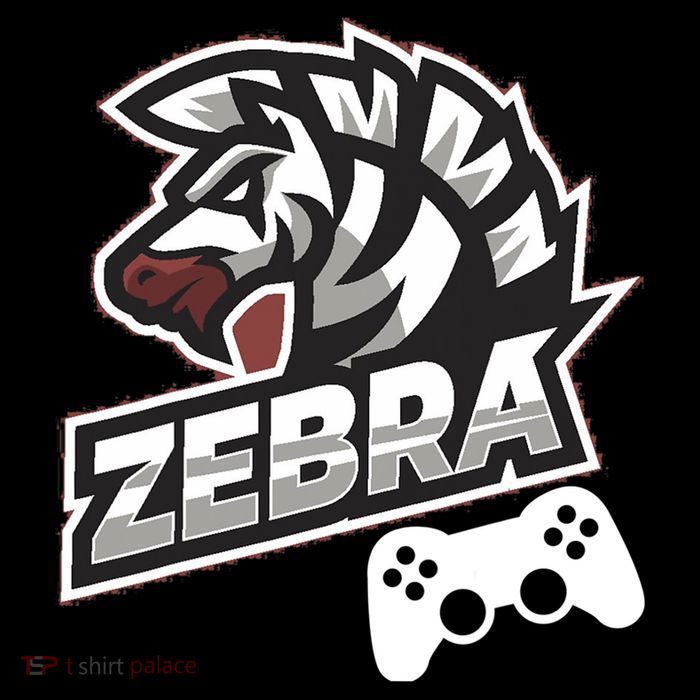 Zebra Gamer Controller Graphic Design For Gamer Kids Flatbill Hat