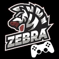 Zebra Gamer Controller Graphic Design For Gamer Kids 16 in Basic Backpack