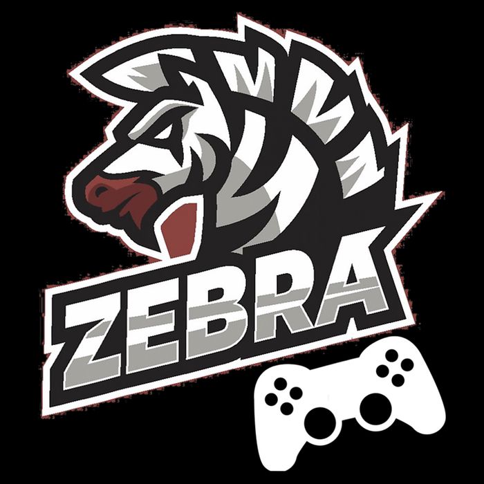 Zebra Gamer Controller Graphic Design For Gamer Kids 16 in Basic Backpack