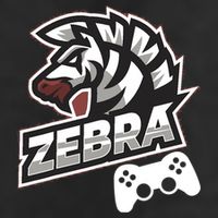 Zebra Gamer Controller Graphic Design For Gamer Kids Microfiber Hand Towel