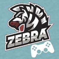 Zebra Gamer Controller Graphic Design For Gamer Kids Sueded Cloud Jersey T-Shirt
