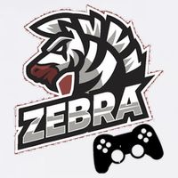 Zebra Gamer Controller Graphic Design For Gamer Kids Garment-Dyed Sweatshirt