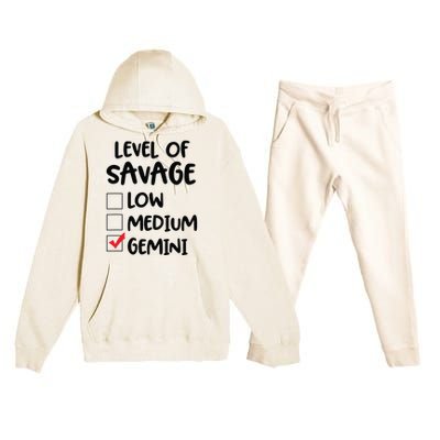 Zodiac Horoscope Gemini Level Of Savage Pun Funny Gift Premium Hooded Sweatsuit Set