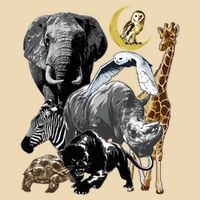 Zookeeper Jungle Animals Theme Safari Zoo Birthday Themed Bag