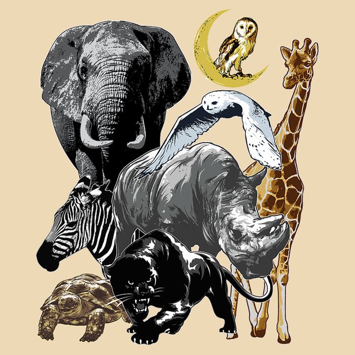 Zookeeper Jungle Animals Theme Safari Zoo Birthday Themed Bag