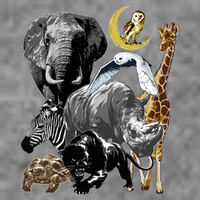 Zookeeper Jungle Animals Theme Safari Zoo Birthday Themed Hooded Wearable Blanket