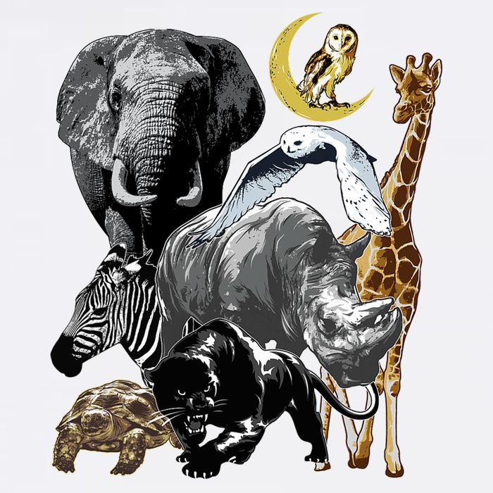 Zookeeper Jungle Animals Theme Safari Zoo Birthday Themed Button