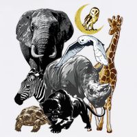 Zookeeper Jungle Animals Theme Safari Zoo Birthday Themed Mesh Reversible Basketball Jersey Tank