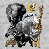 Zookeeper Jungle Animals Theme Safari Zoo Birthday Themed Tall T-Shirt