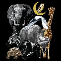 Zookeeper Jungle Animals Theme Safari Zoo Birthday Themed Cooling Performance Crew T-Shirt