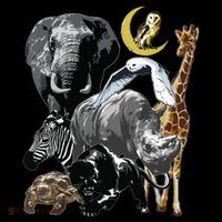 Zookeeper Jungle Animals Theme Safari Zoo Birthday Themed Poster