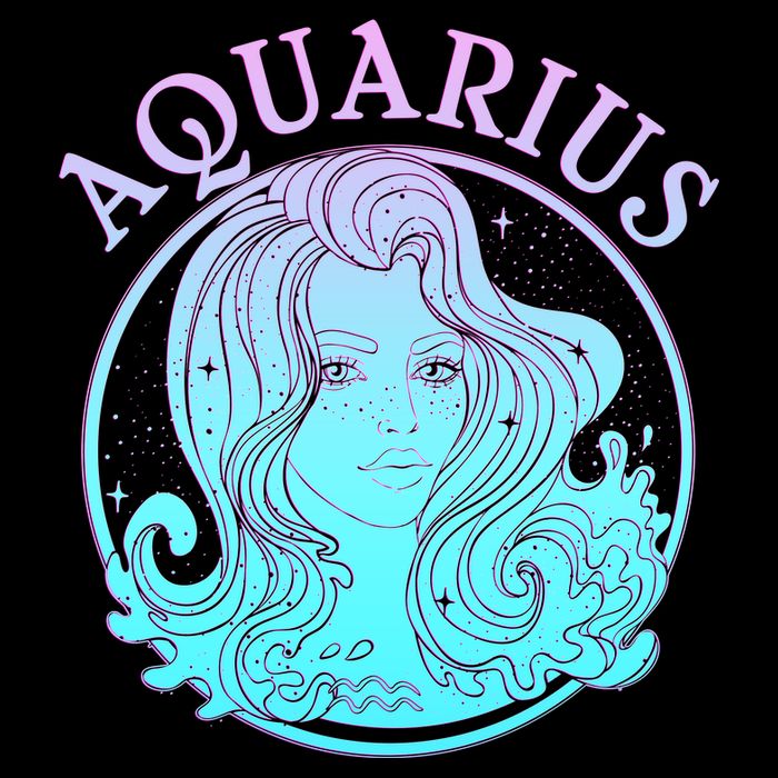 Zodiac Aquarius Lady Doggie Tank