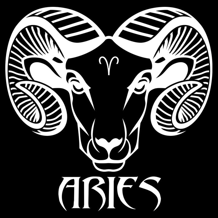 Zodiac Aries Ram Horns Face Kids T-Shirt