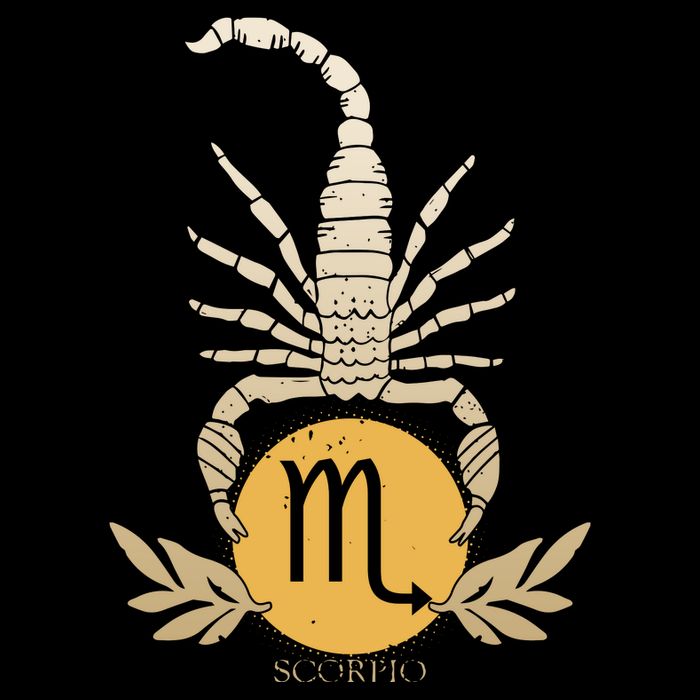 Zodiac Scorpio Scorpion Symbol T-Shirt