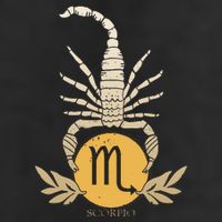 Zodiac Scorpio Scorpion Symbol Hat