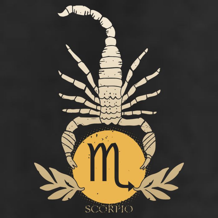 Zodiac Scorpio Scorpion Symbol Hat