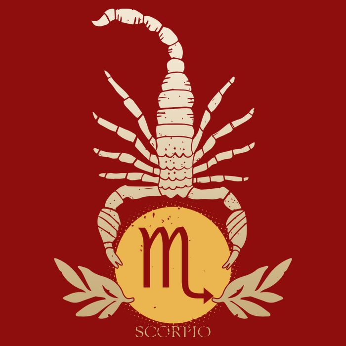 Zodiac Scorpio Scorpion Symbol Premium T-Shirt