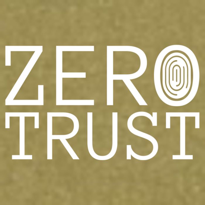 Zero Trust Cyber Security Hacking Programmer Developer Funny Gift Garment-Dyed Women's Muscle Tee