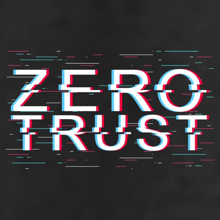 Zero Trust Developer It Cyber Security Hacking Programmer Gift Trucker Hat