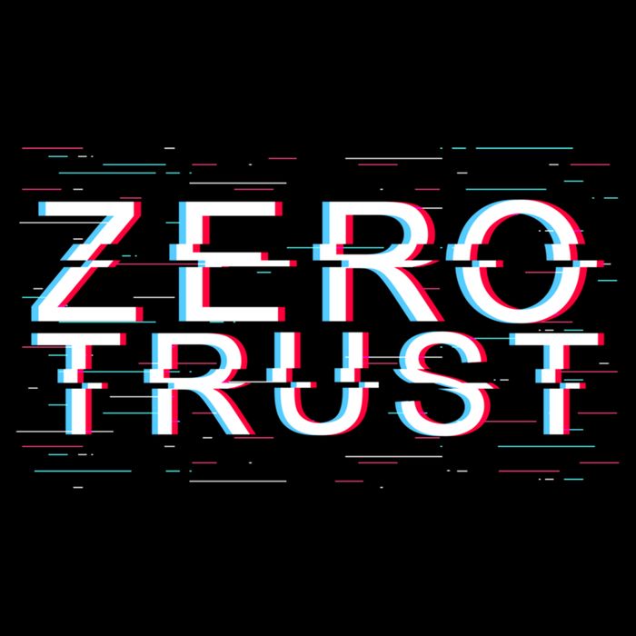 Zero Trust Developer It Cyber Security Hacking Programmer Gift Wool Snapback Cap