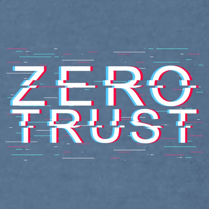 Zero Trust Developer It Cyber Security Hacking Programmer Gift Garment-Dyed Sweatshirt