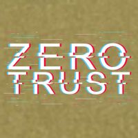 Zero Trust Developer It Cyber Security Hacking Programmer Gift Garment-Dyed Women's Muscle Tee